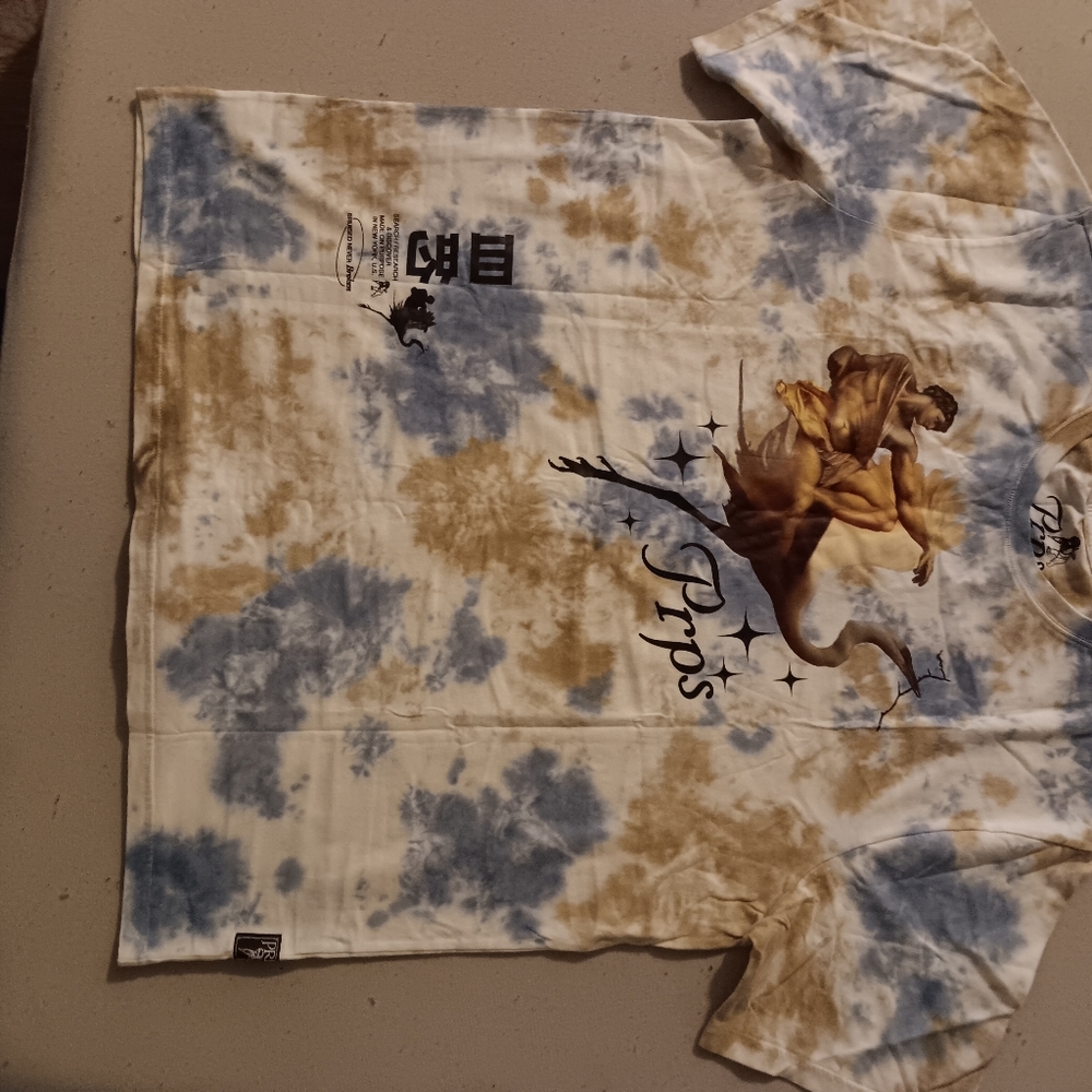 PRPS - Picture 6 of 7